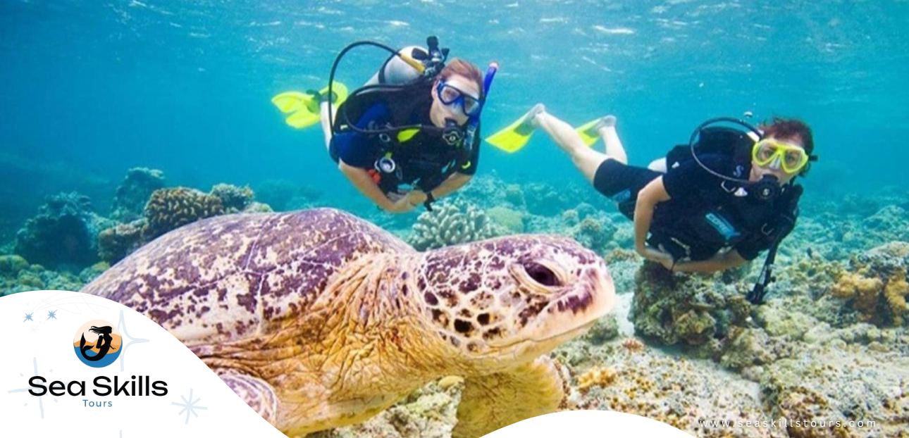 Becoming a Divemaster with Sea Skills